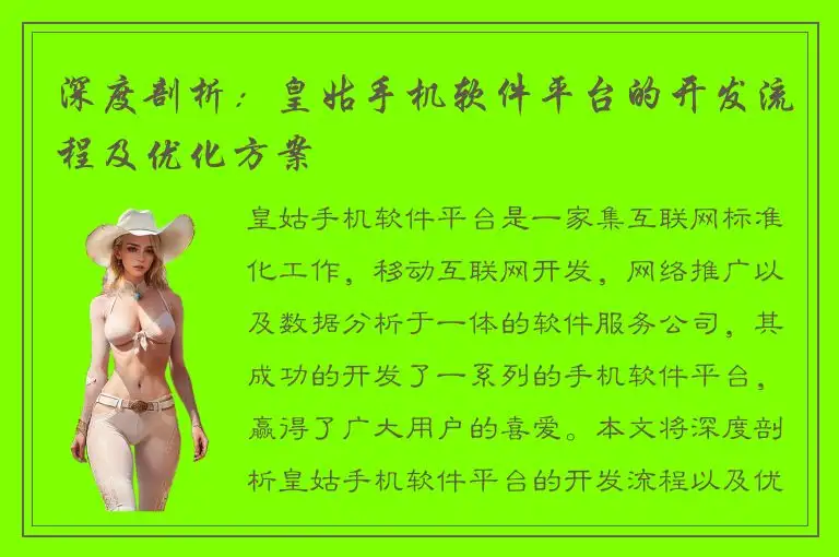 深度剖析：皇姑手机软件平台的开发流程及优化方案