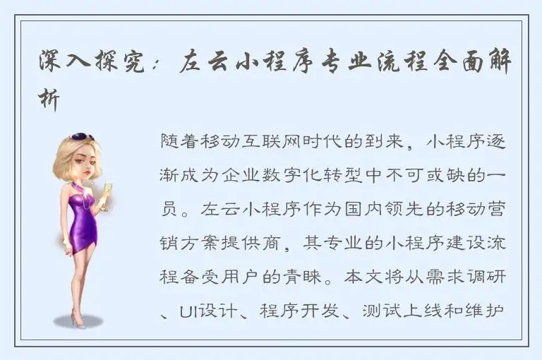 深入探究：左云小程序专业流程全面解析