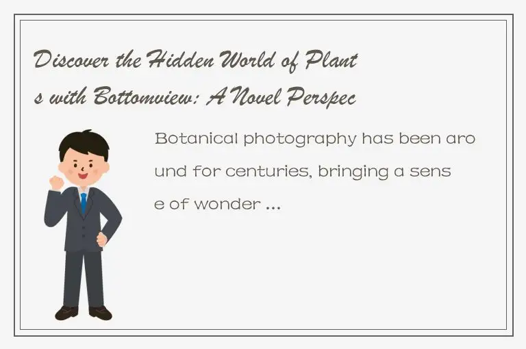 Discover the Hidden World of Plants with Bottomview: A Novel Perspective on Bota
