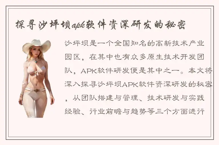 探寻沙坪坝apk软件资深研发的秘密