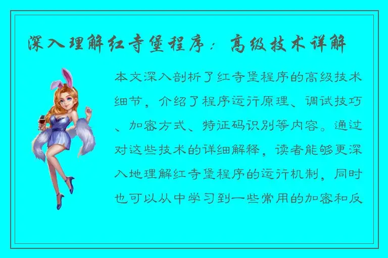 深入理解红寺堡程序：高级技术详解