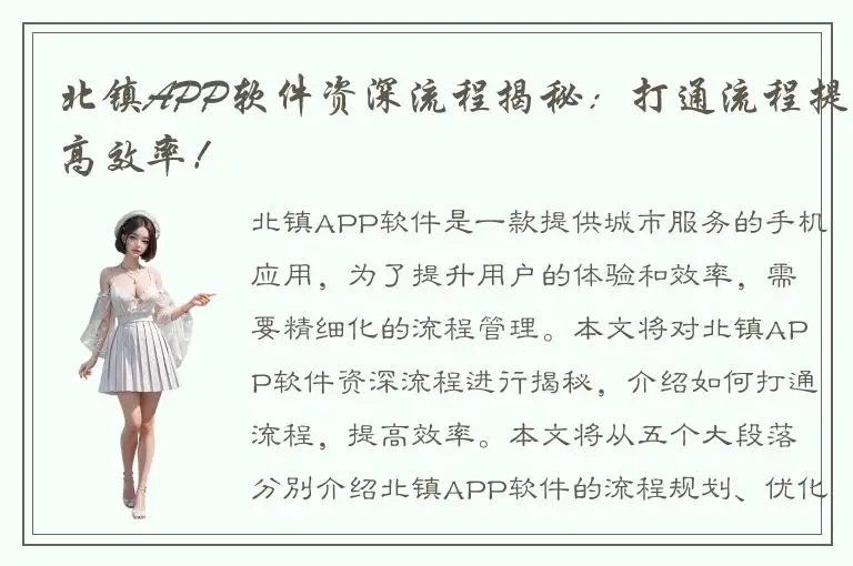 北镇APP软件资深流程揭秘：打通流程提高效率！