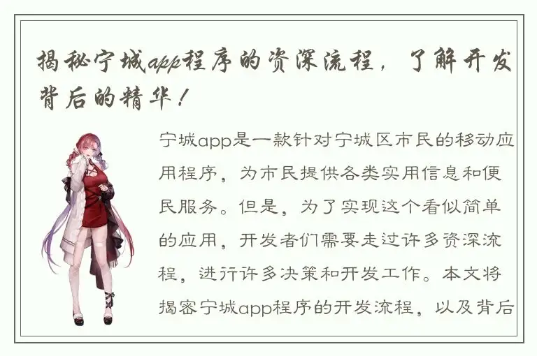 揭秘宁城app程序的资深流程，了解开发背后的精华！