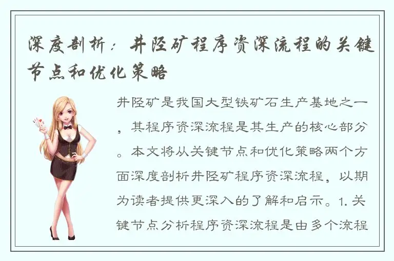 深度剖析：井陉矿程序资深流程的关键节点和优化策略