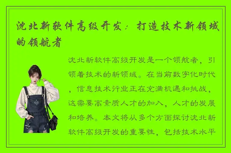 沈北新软件高级开发：打造技术新领域的领航者