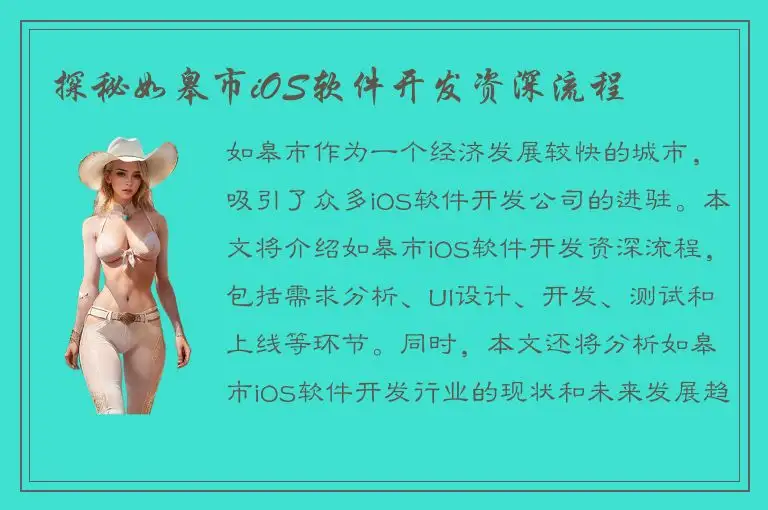 探秘如皋市iOS软件开发资深流程