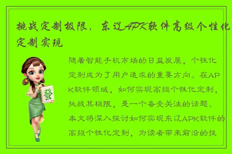 挑战定制极限，东辽APK软件高级个性化定制实现