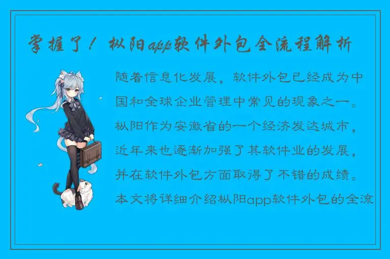 掌握了！枞阳app软件外包全流程解析