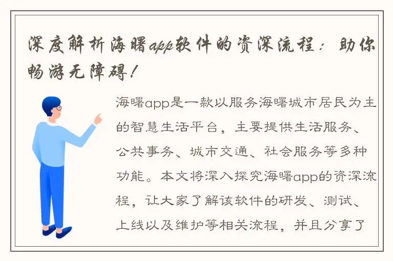 深度解析海曙app软件的资深流程：助你畅游无障碍！