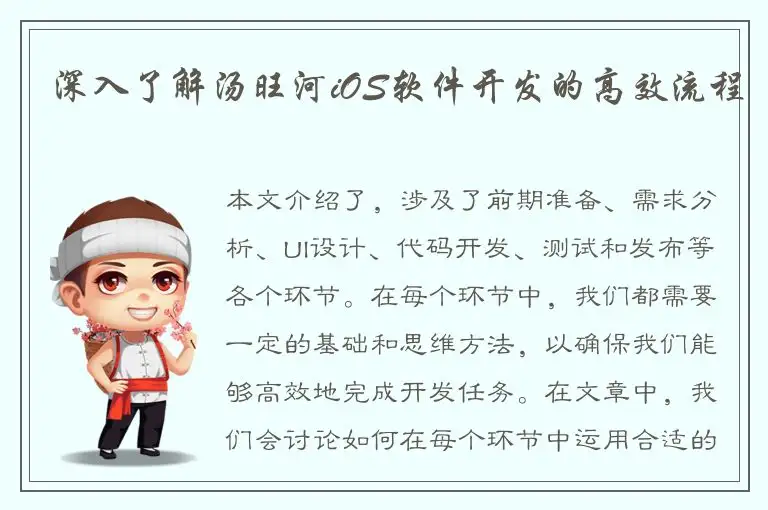 深入了解汤旺河iOS软件开发的高效流程