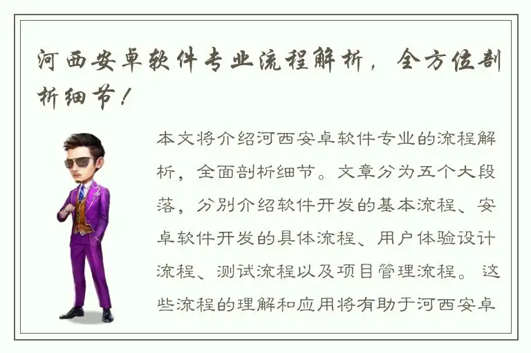 河西安卓软件专业流程解析，全方位剖析细节！