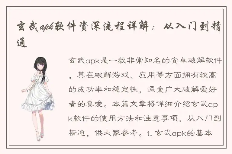 玄武apk软件资深流程详解：从入门到精通