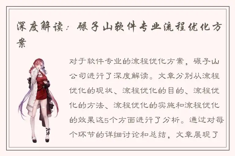 深度解读：碾子山软件专业流程优化方案