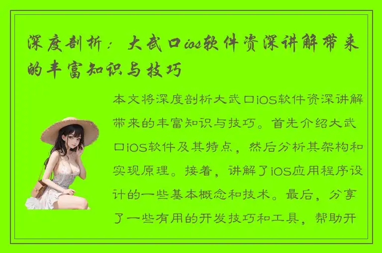 深度剖析：大武口ios软件资深讲解带来的丰富知识与技巧
