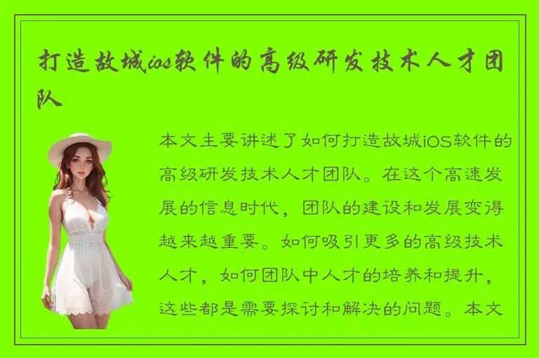 打造故城ios软件的高级研发技术人才团队