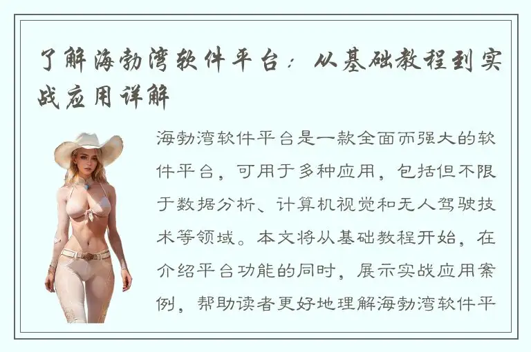 了解海勃湾软件平台：从基础教程到实战应用详解
