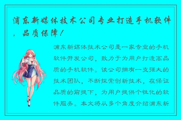 浦东新媒体技术公司专业打造手机软件，品质保障！