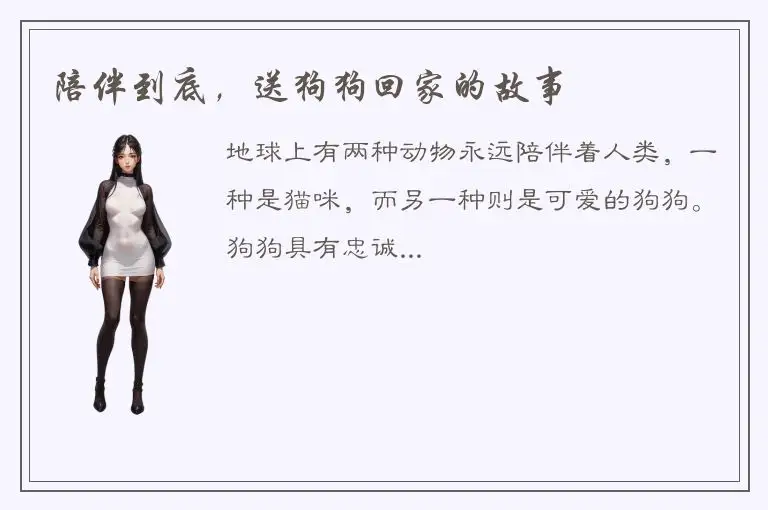 陪伴到底，送狗狗回家的故事