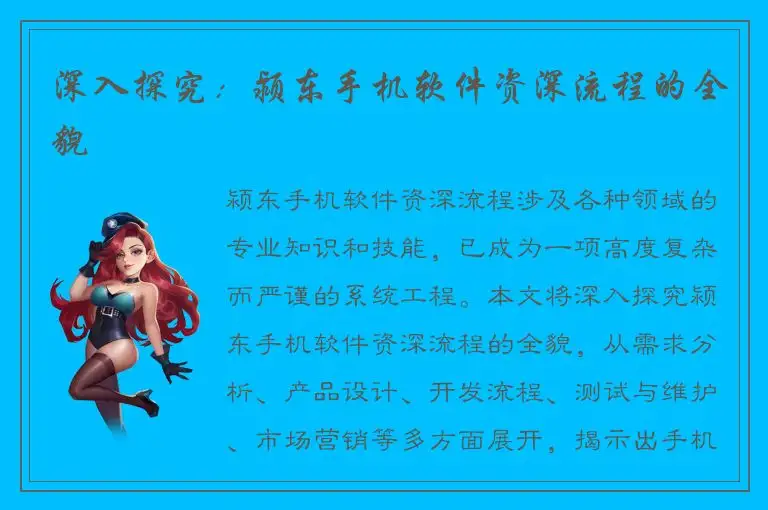 深入探究：颍东手机软件资深流程的全貌