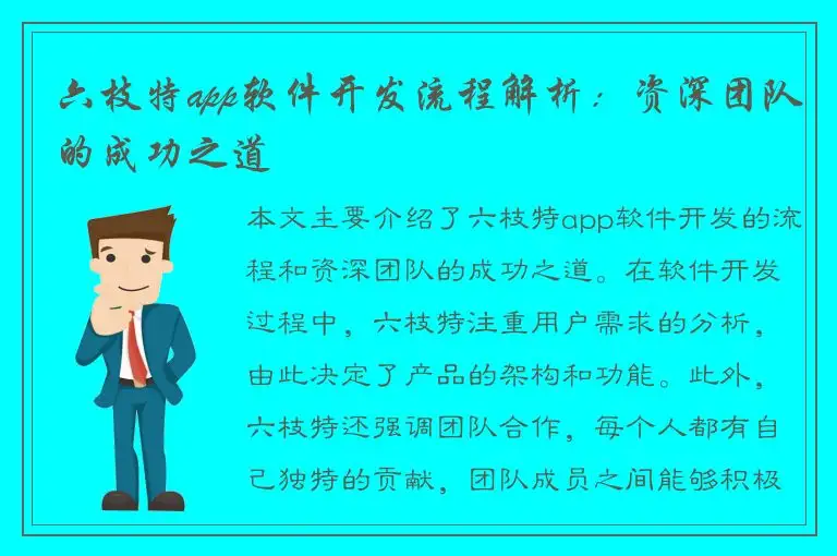 六枝特app软件开发流程解析：资深团队的成功之道