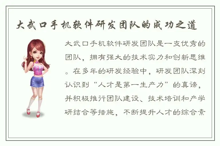 大武口手机软件研发团队的成功之道