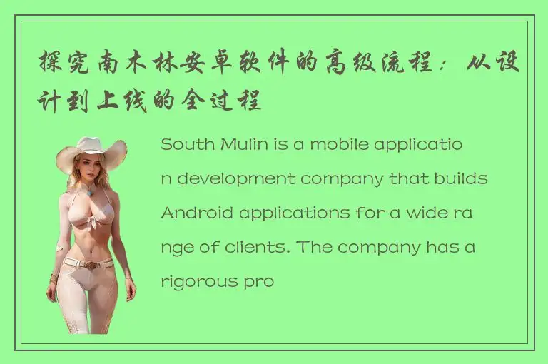 探究南木林安卓软件的高级流程：从设计到上线的全过程