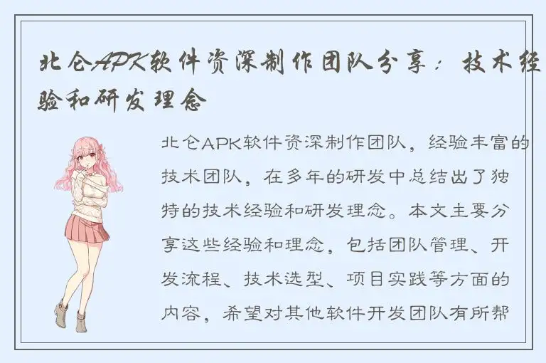 北仑APK软件资深制作团队分享：技术经验和研发理念