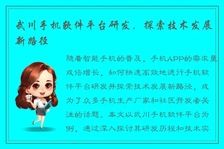 武川手机软件平台研发，探索技术发展新路径