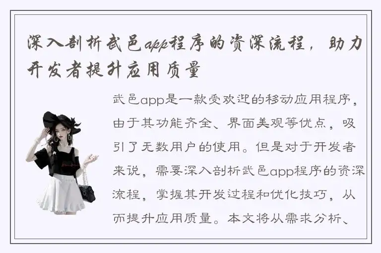 深入剖析武邑app程序的资深流程，助力开发者提升应用质量
