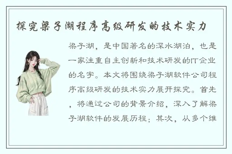 探究梁子湖程序高级研发的技术实力