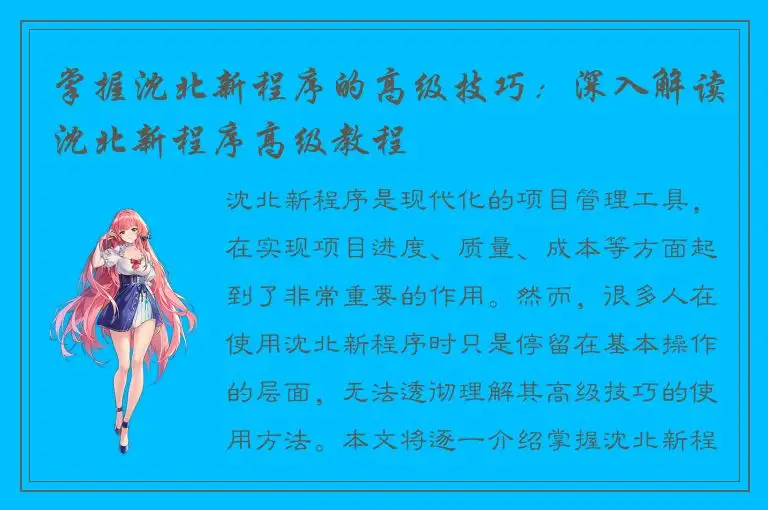 掌握沈北新程序的高级技巧：深入解读沈北新程序高级教程