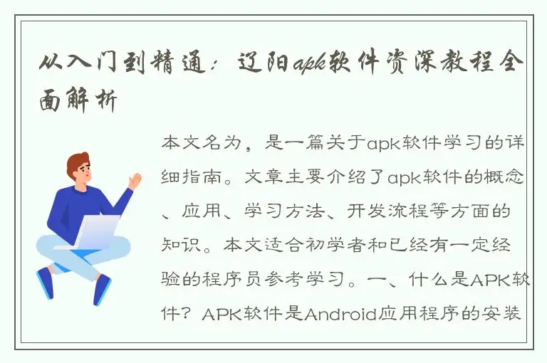 从入门到精通：辽阳apk软件资深教程全面解析