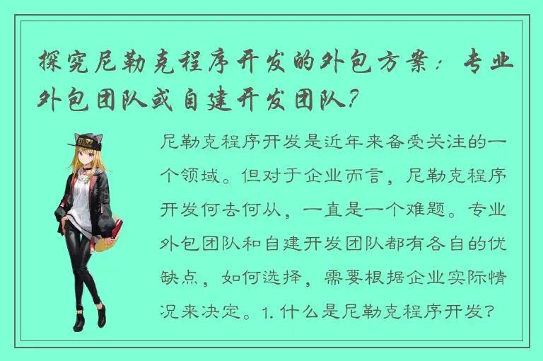 探究尼勒克程序开发的外包方案：专业外包团队或自建开发团队？