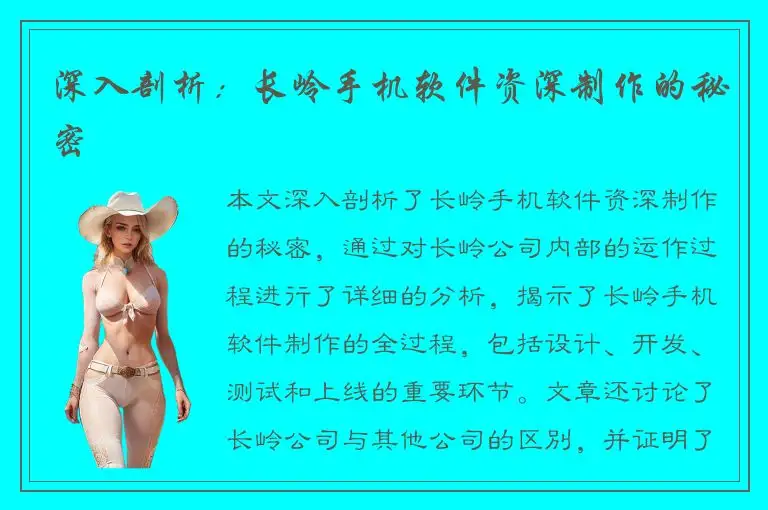 深入剖析：长岭手机软件资深制作的秘密