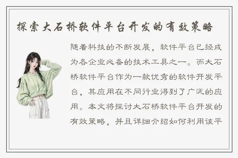 探索大石桥软件平台开发的有效策略