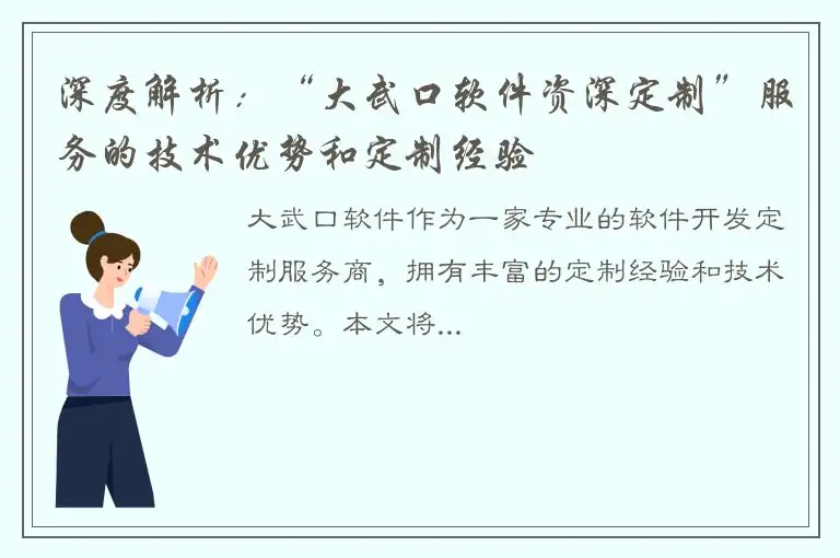 深度解析：“大武口软件资深定制”服务的技术优势和定制经验