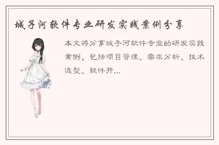 城子河软件专业研发实践案例分享