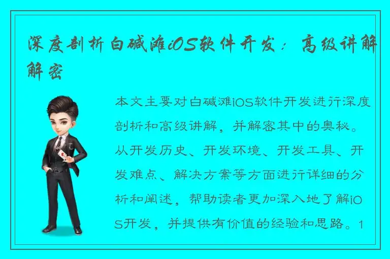 深度剖析白碱滩iOS软件开发：高级讲解解密