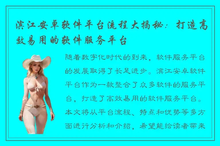 滨江安卓软件平台流程大揭秘：打造高效易用的软件服务平台