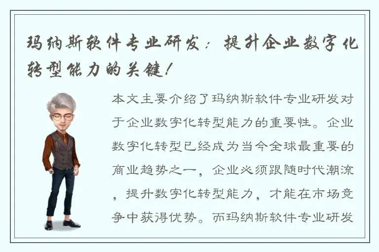 玛纳斯软件专业研发：提升企业数字化转型能力的关键！