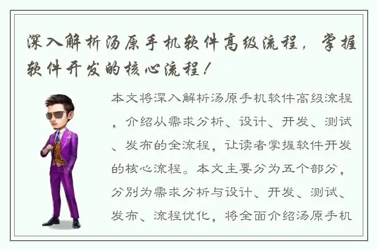 深入解析汤原手机软件高级流程，掌握软件开发的核心流程！