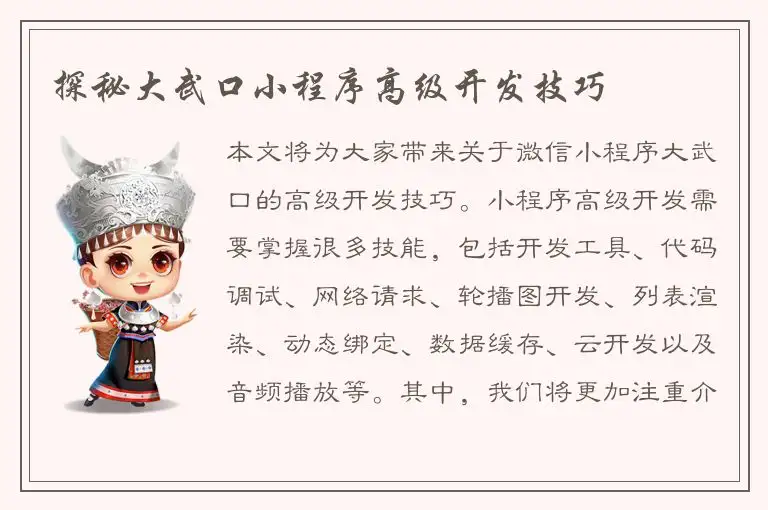 探秘大武口小程序高级开发技巧