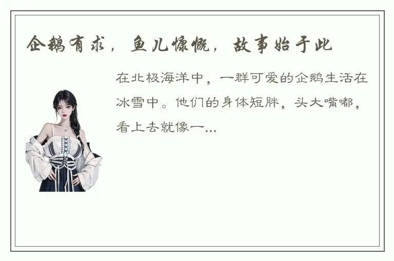 企鹅有求，鱼儿慷慨，故事始于此