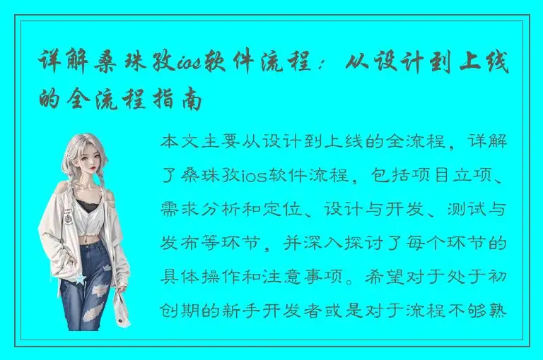 详解桑珠孜ios软件流程：从设计到上线的全流程指南