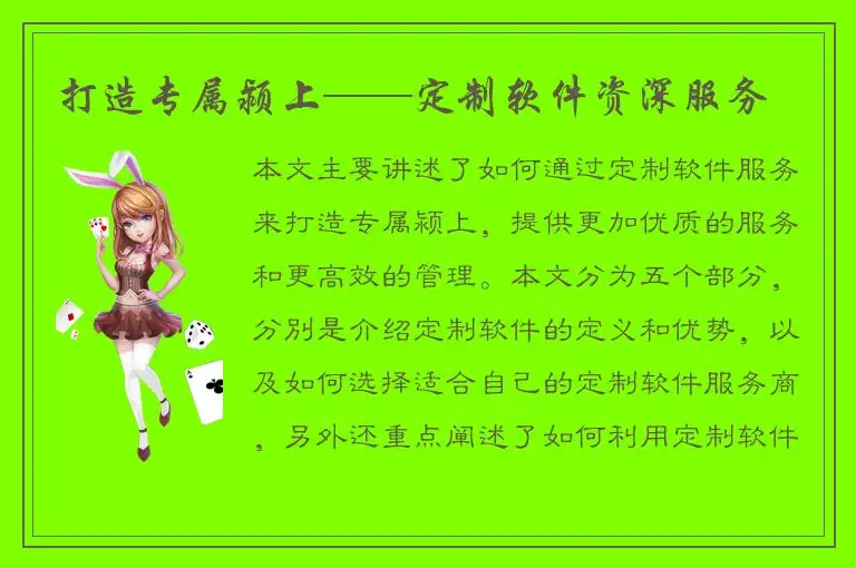 打造专属颍上——定制软件资深服务