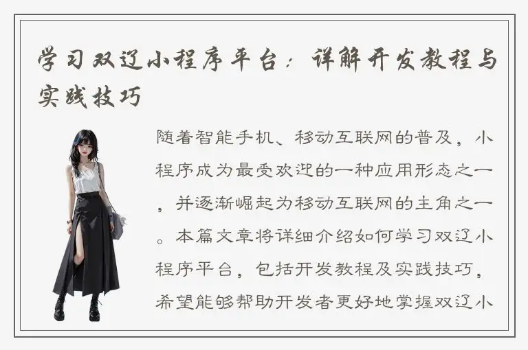 学习双辽小程序平台：详解开发教程与实践技巧