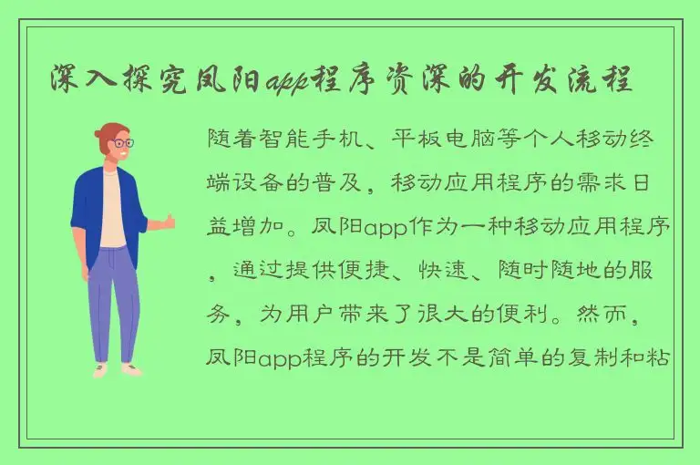 深入探究凤阳app程序资深的开发流程