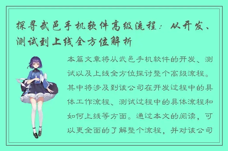 探寻武邑手机软件高级流程：从开发、测试到上线全方位解析