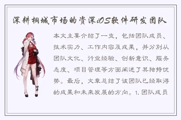 深耕桐城市场的资深iOS软件研发团队