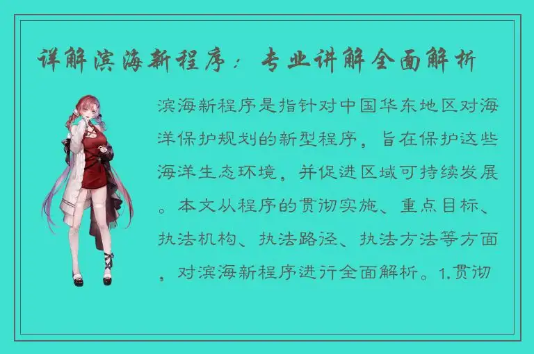 详解滨海新程序：专业讲解全面解析
